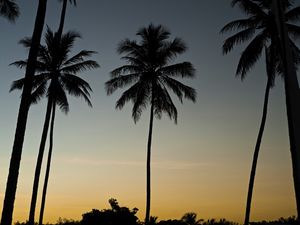 PÔR DO SOL NA BARRA DO ABIAI - PB VII