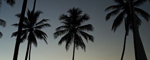 PÔR DO SOL NA BARRA DO ABIAI - PB XIV