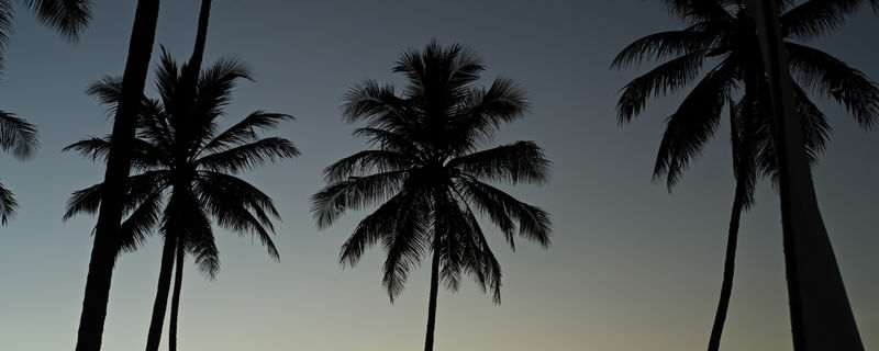 PÔR DO SOL NA BARRA DO ABIAI - PB XIV