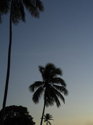 PÔR DO SOL NA BARRA DO ABIAI - PB II