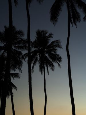 PÔR DO SOL NA BARRA DO ABIAI - PB III