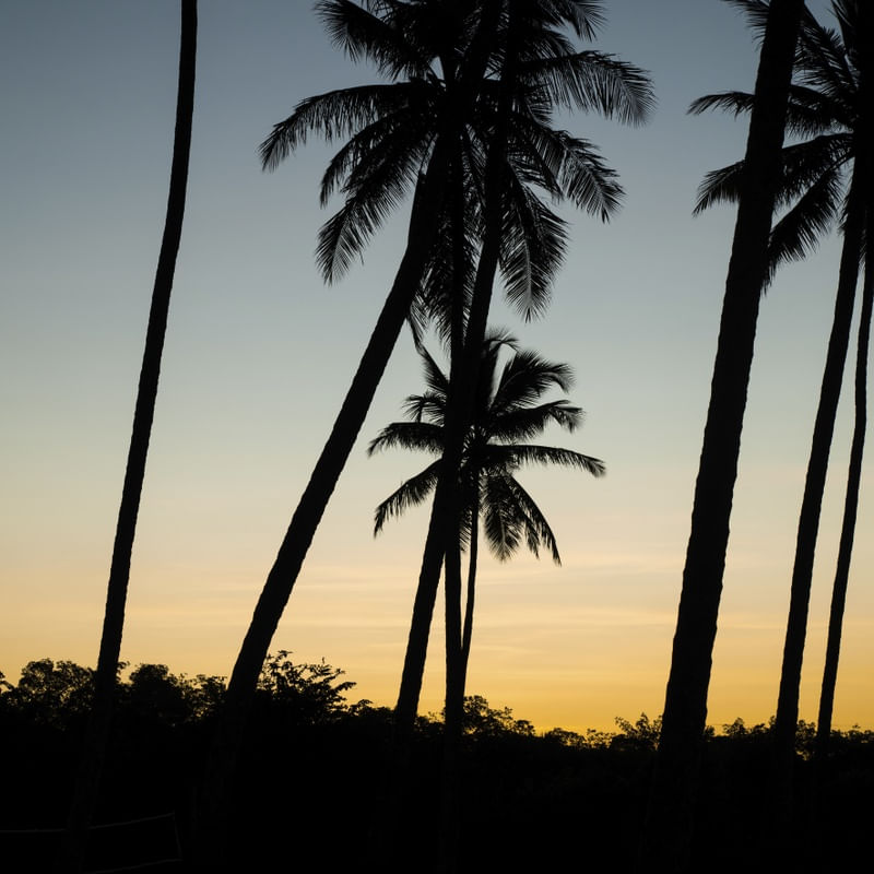 PÔR DO SOL NA BARRA DO ABIAI - PB IX
