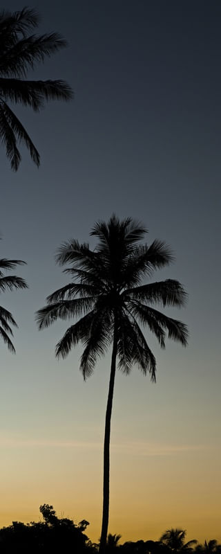 PÔR DO SOL NA BARRA DO ABIAI - PB XV