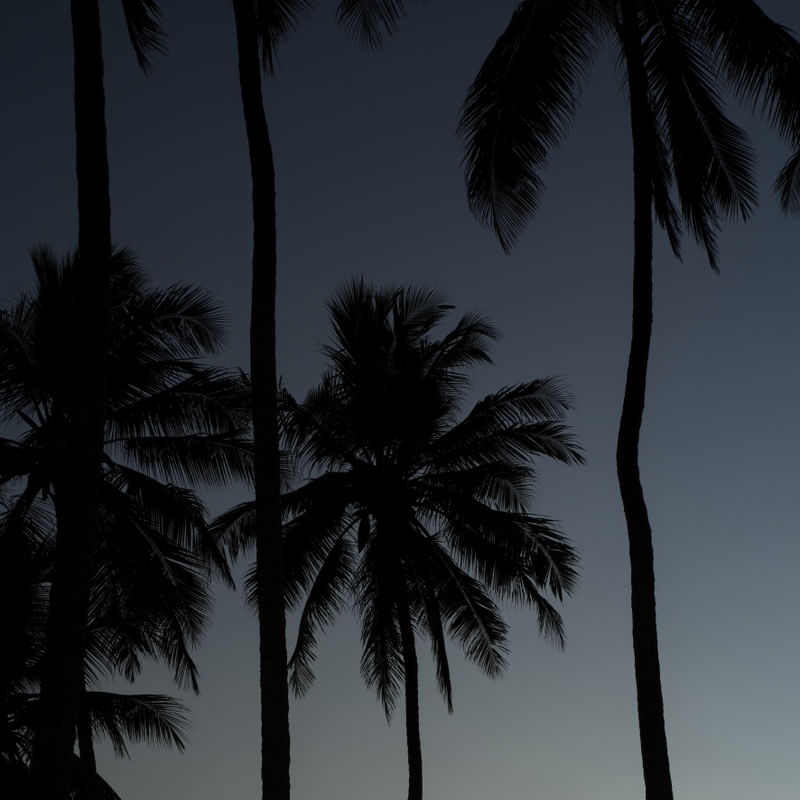 PÔR DO SOL NA BARRA DO ABIAI - PB X