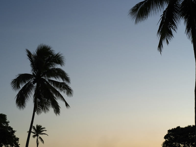 PÔR DO SOL NA BARRA DO ABIAI - PB V