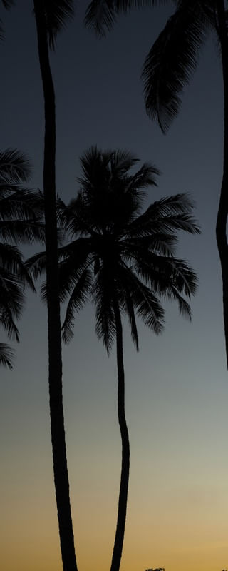 PÔR DO SOL NA BARRA DO ABIAI - PB XVI