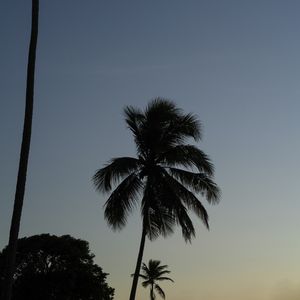 PÔR DO SOL NA BARRA DO ABIAI - PB XI