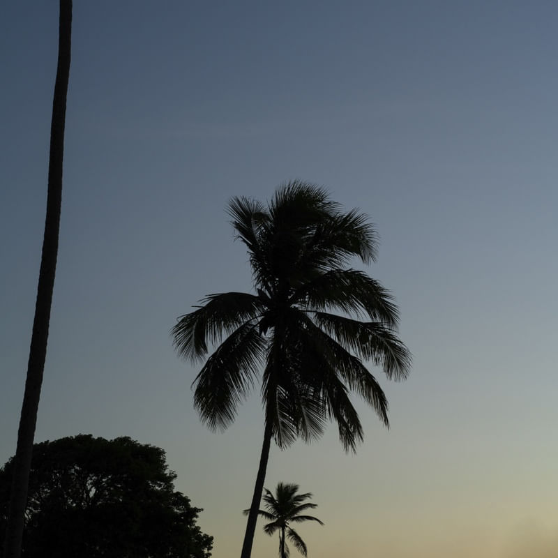 PÔR DO SOL NA BARRA DO ABIAI - PB XI