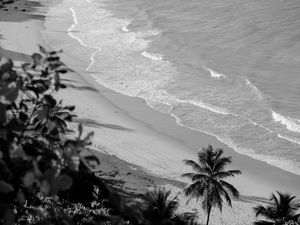 PRAIA DE COQUEIRINHO - PARAÍBA - PAISAGEM II - P&B