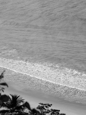 PRAIA DE COQUEIRINHO - PARAÍBA III - P&B