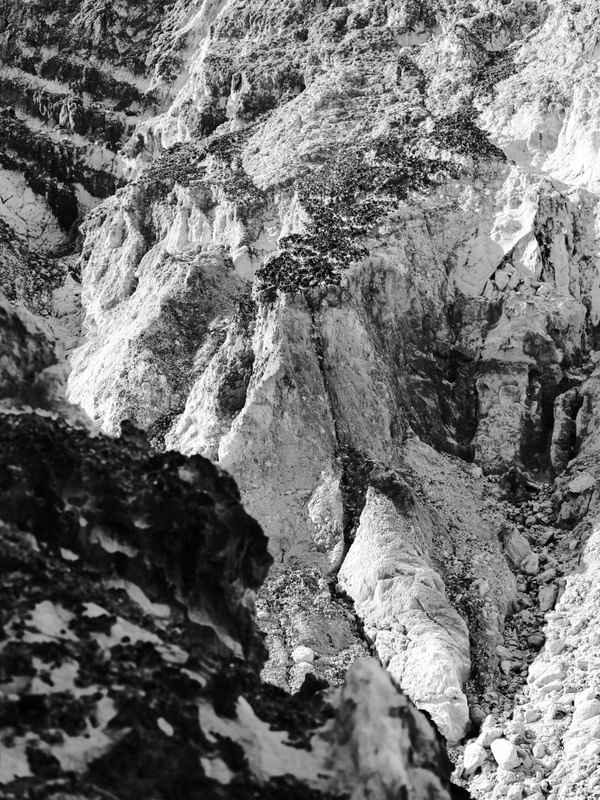 FALÉSIAS DE ARAPUCA - PB III - P&B