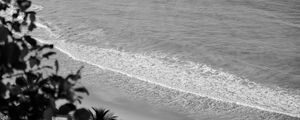 PRAIA DE COQUEIRINHO - PARAÍBA - PANORAMICO III - P&B
