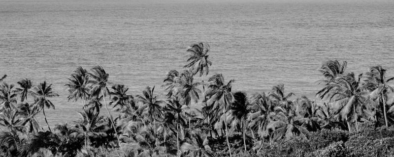 PRAIA DE COQUEIRINHO - PARAÍBA - PANORAMICO I - P&B