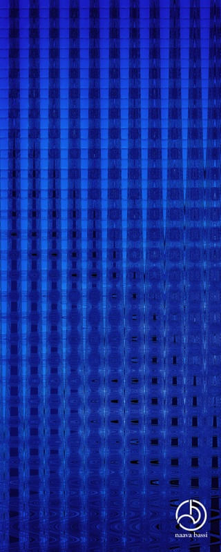 BLUE GRIDS