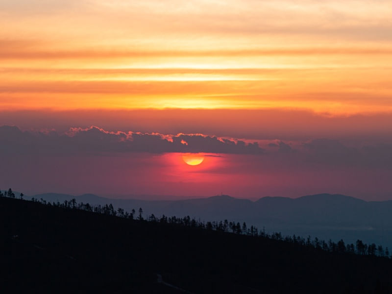 POR DO SOL E A COLINA DOS PINHEIROS