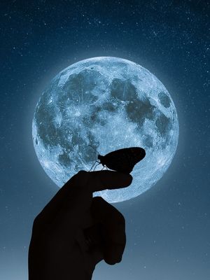 A BORBOLETA E A LUA