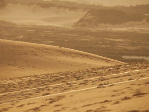 PAISAGEM DUNAS - FLORIPA