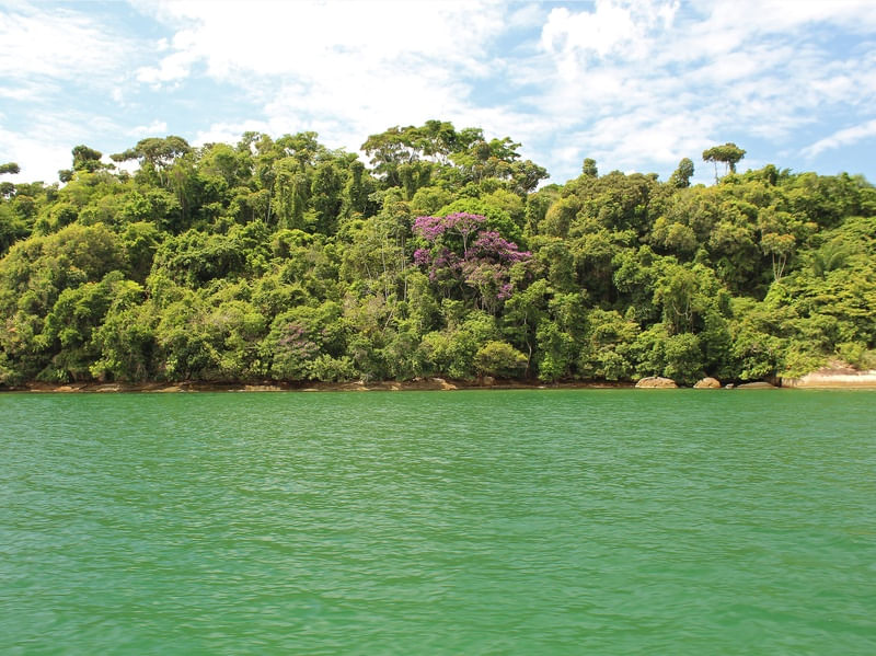 NATUREZA DE PARATY