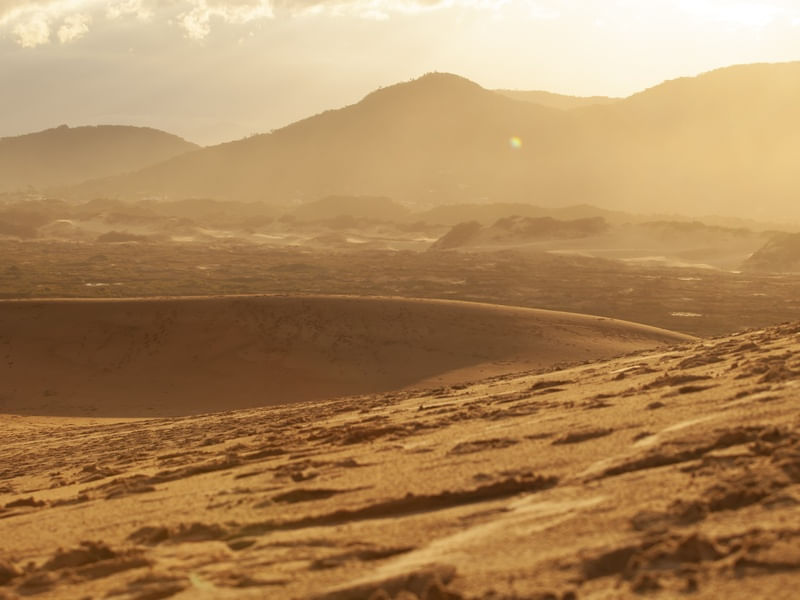 PAISAGEM ENSOLARADA - DUNAS DA LAGOA DA CONCEIÇÃO