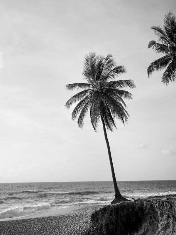 UM DIA DE VERÃO P&B
