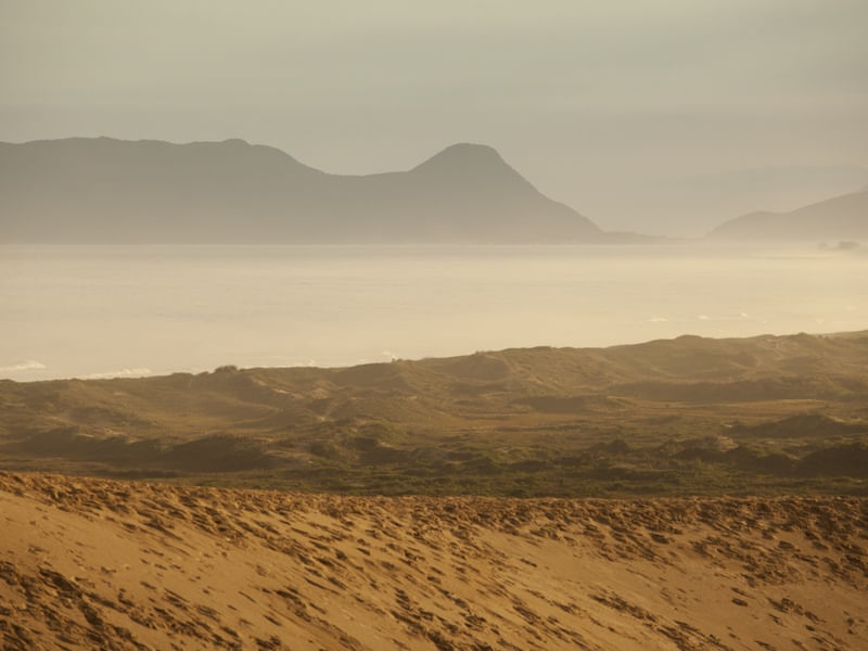 PAISAGEM - DUNAS E PRAIA DE JOAQUINA