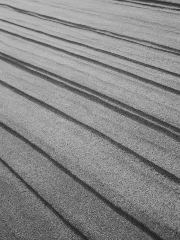 LINHAS NATURAIS II P&B