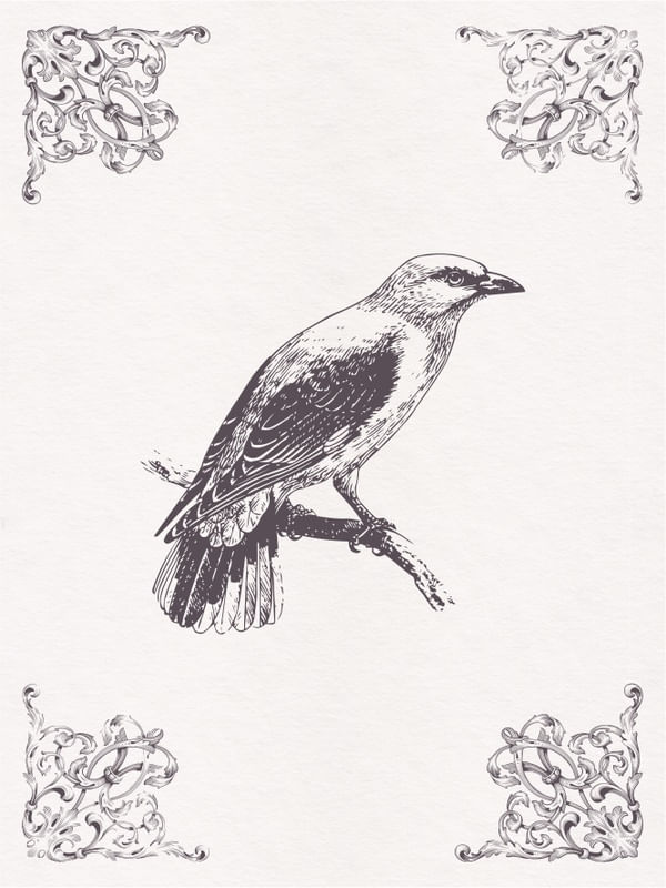 EL PÁJARO SOLITARIO I