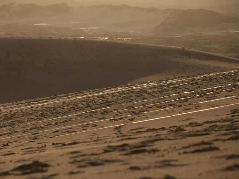 DUNAS AO ENTARDECER