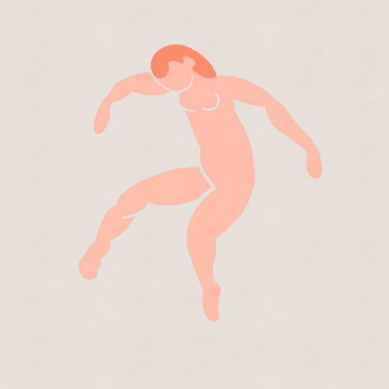 HENRI MATISSE REVISITED XVI