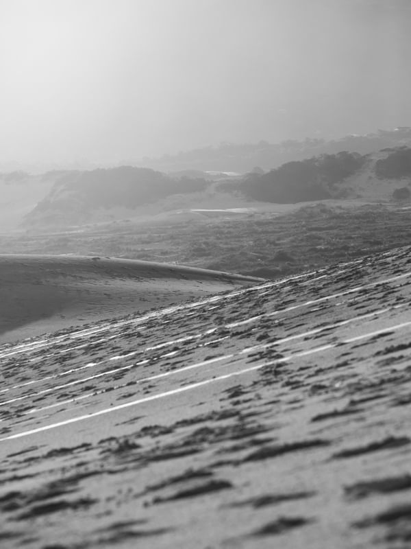 DUNAS DA PRAIA DA JOAQUINA - P&B