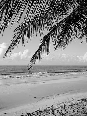 SOMBRA DA PRAIA - COQUEIRINHO, PARAÍBA - P&B