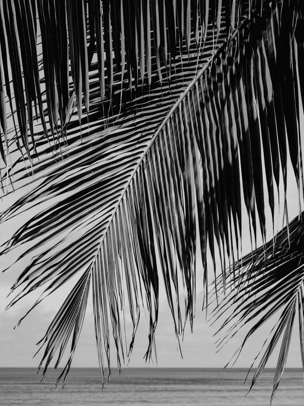 SOMBRA DE VERÃO - JOÃO PESSOA,PB P&B