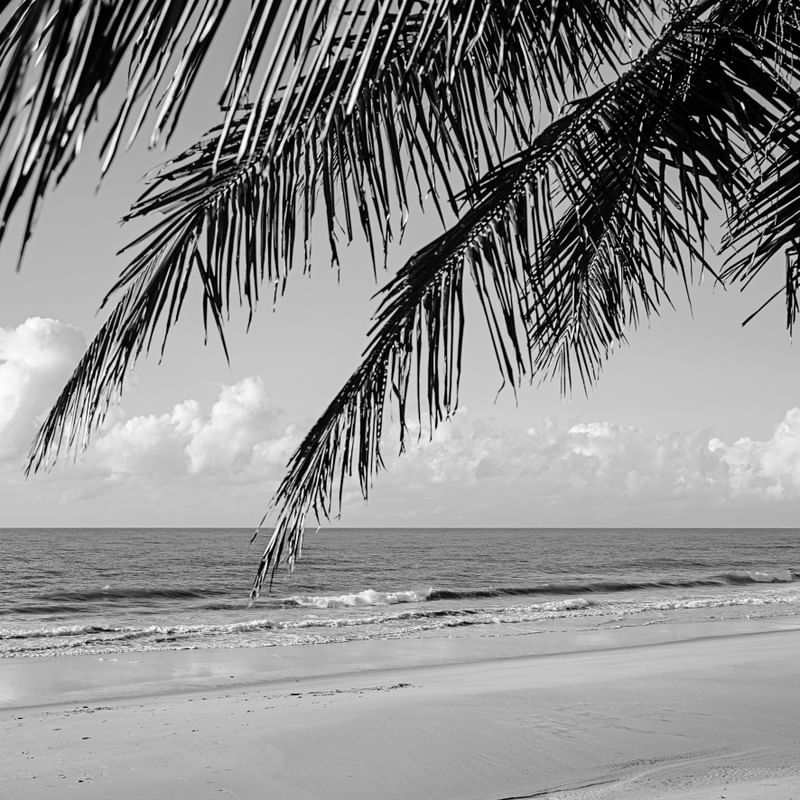 PRAIA DE COQUEIRINHO - PARAÍBA - QUADRADO I - P&B