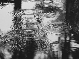 RJ - PINGOS DE CHUVA