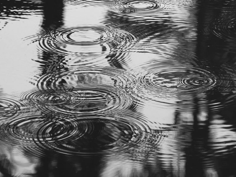 RJ - PINGOS DE CHUVA
