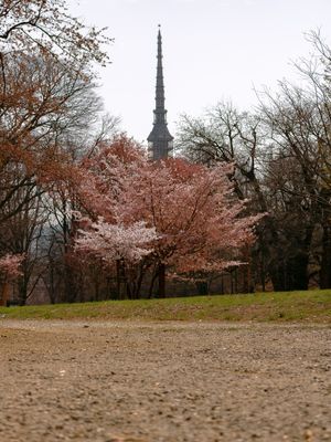 TORINO 16