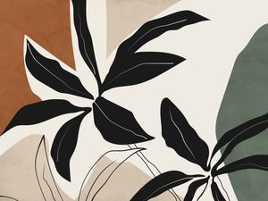 FORMAS E LINHAS ORGANIC 1
