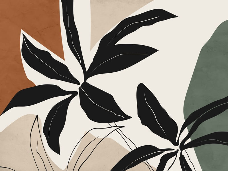 FORMAS E LINHAS ORGANIC 1