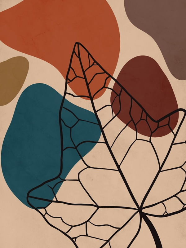 ORGANIC MIX 1