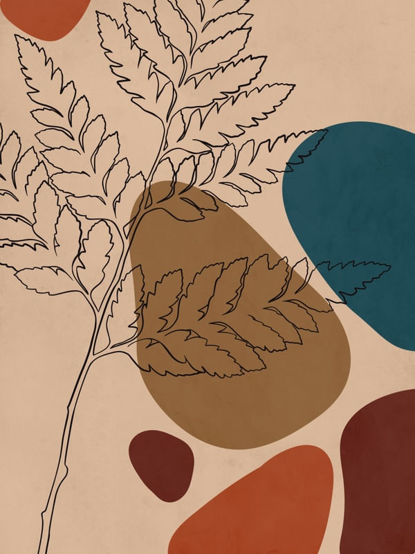 ORGANIC MIX 2