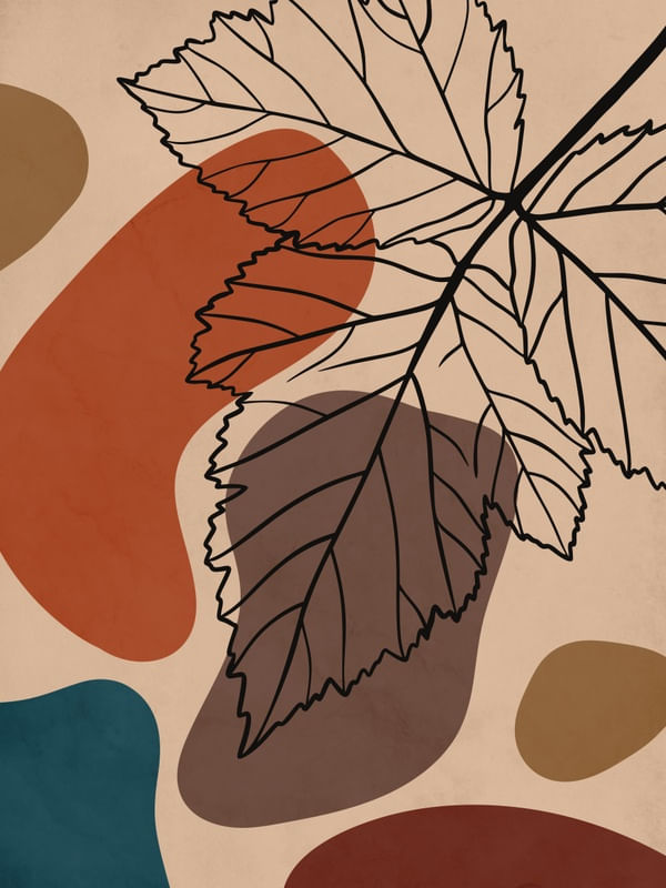 ORGANIC MIX 3