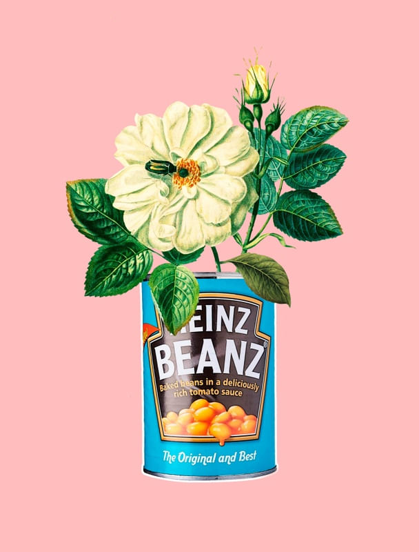 FLORAL HEINZ