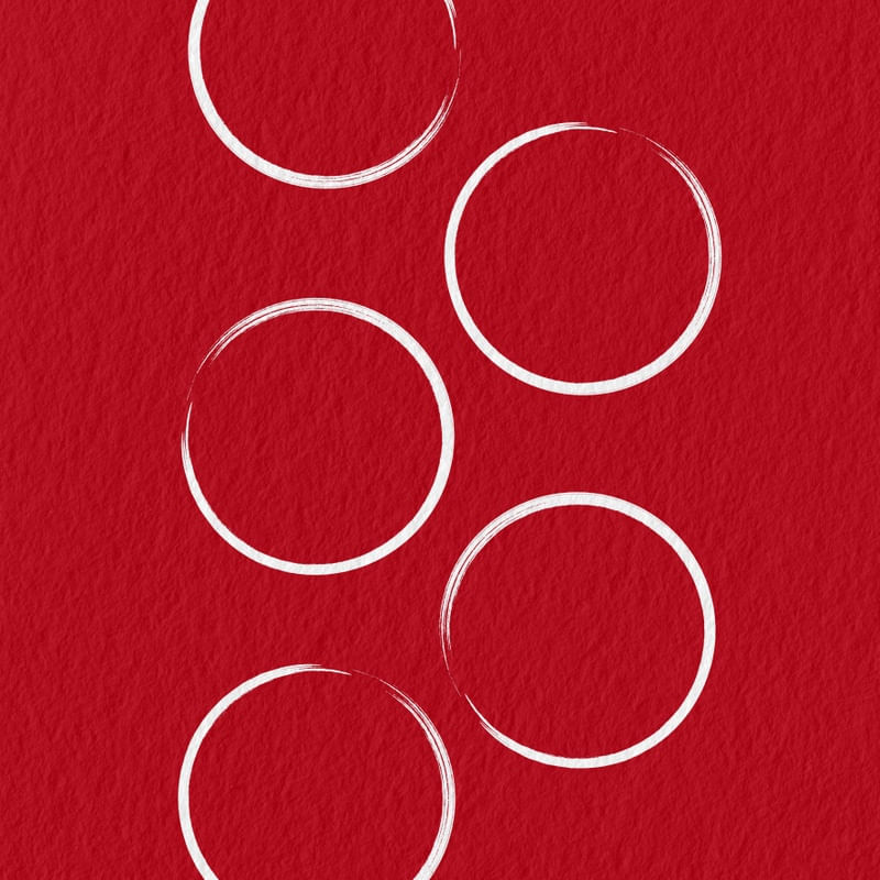 CIRCLE VIII
