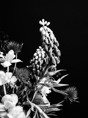 FLOWER DETAIL 2
