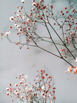 FLOWER DETAIL 4