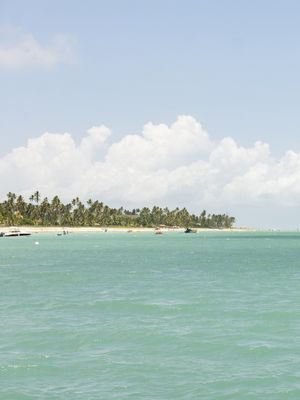PARAÍSO MARAGOGÍ