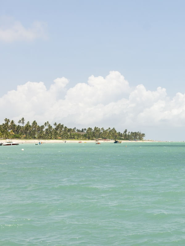 PARAÍSO MARAGOGÍ