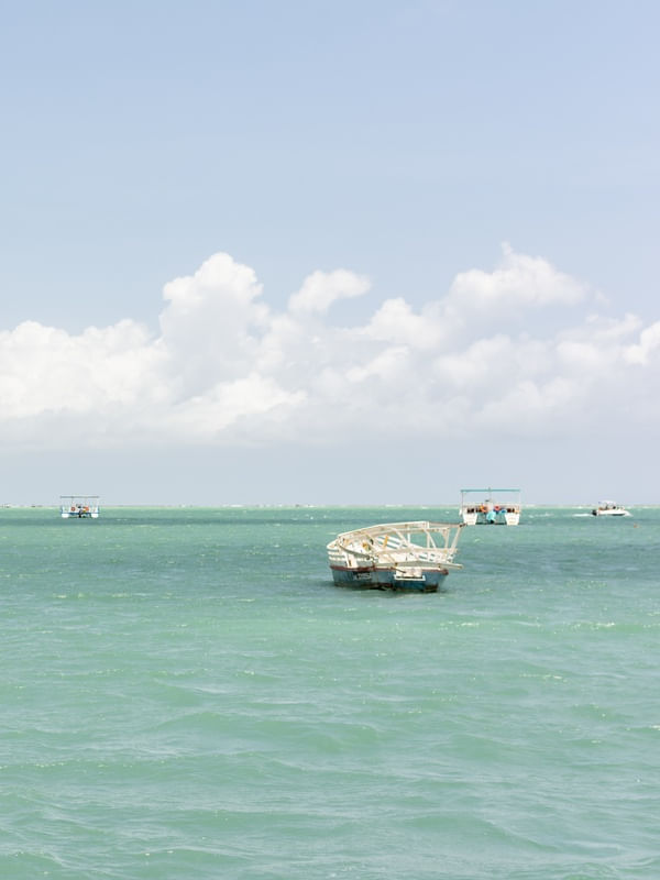 PARAÍSO MARAGOGÍ 2