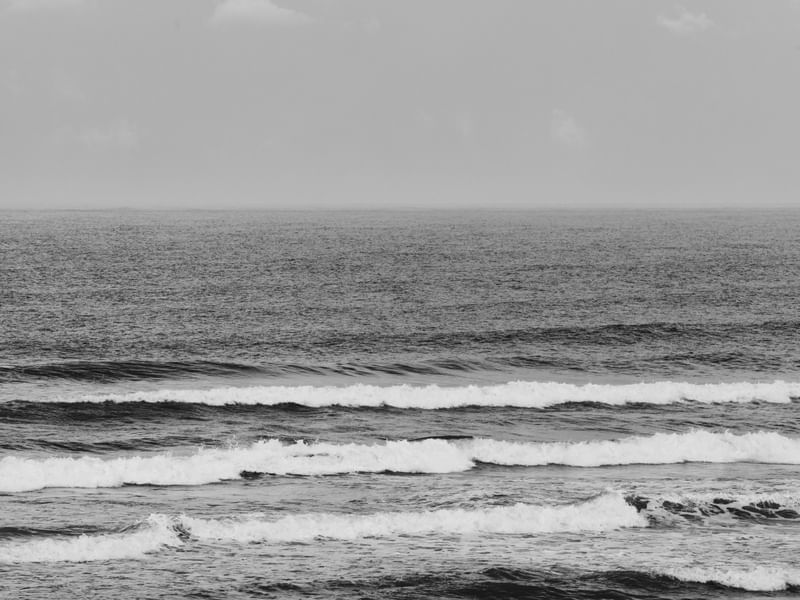 O MAR P&B - FLORIPA
