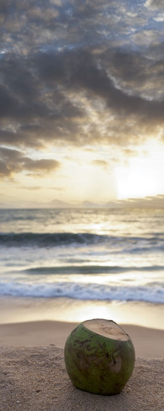 SOFT SUMMER MACEIO